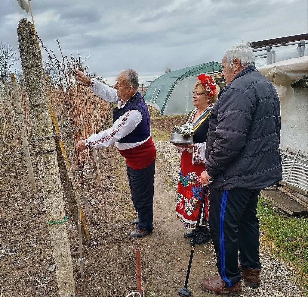 Ароматно вино ще се лее в старозагорското село Оряховица на Трифон Зарезан