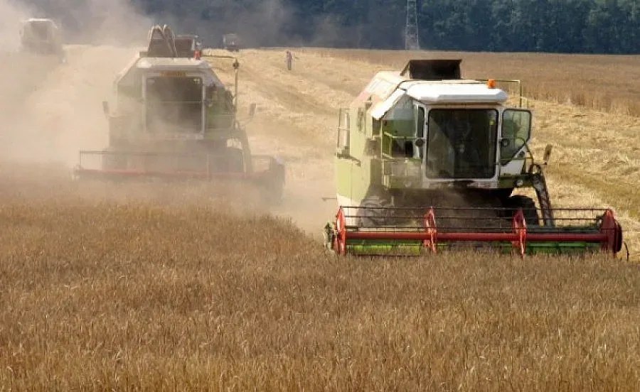 Прогнозират срив в цената на пшеницата
