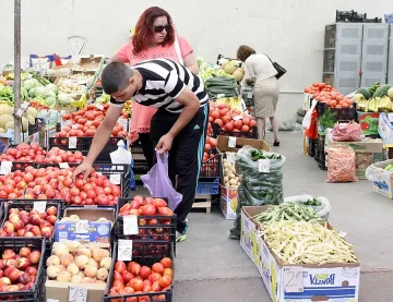 Цените на доматите се понижиха с 6%