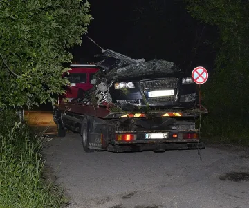 Двама сватбари умряха в касапница на пътя 