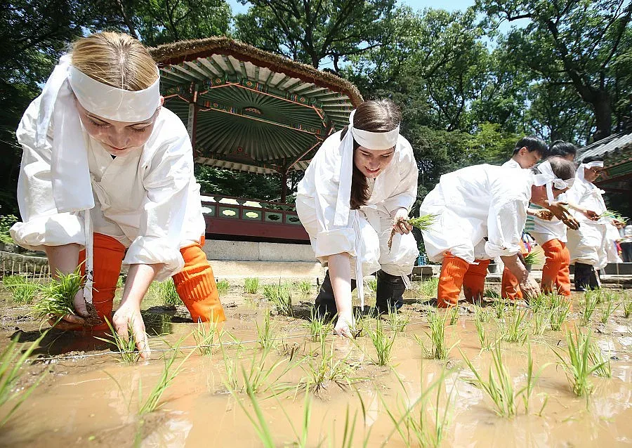 1,5% от фермерите държат 82% от земята