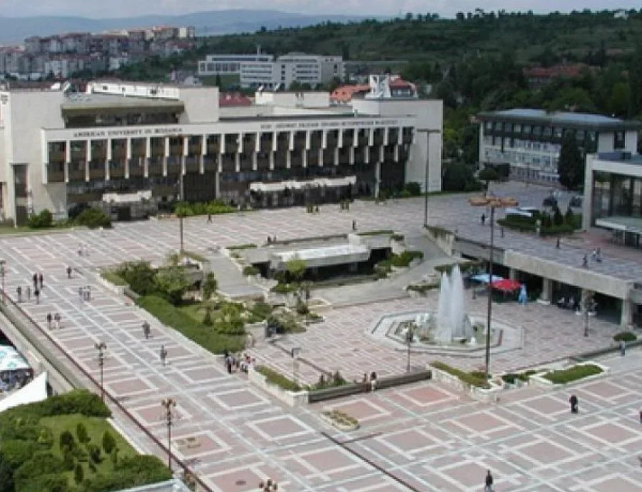 Съветници искат опрощаване на дългове на бедна майка