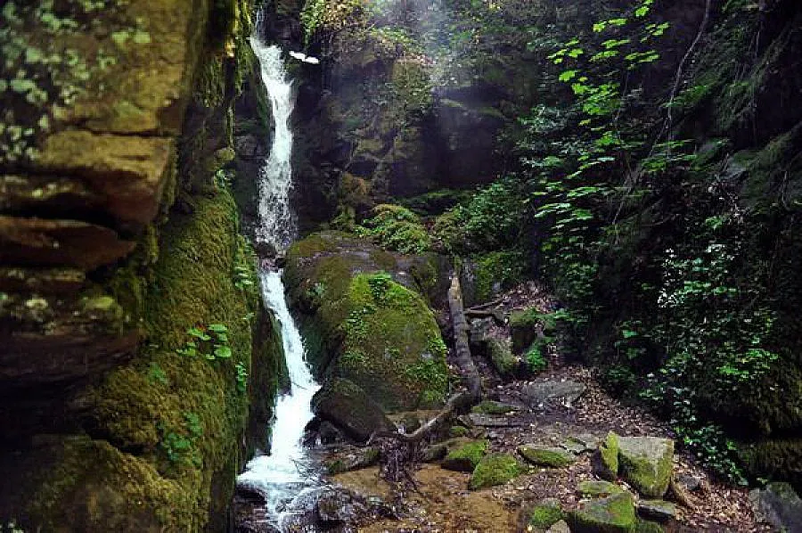 Села и еколози срещу ВЕЦ в Природен парк „Беласица"
