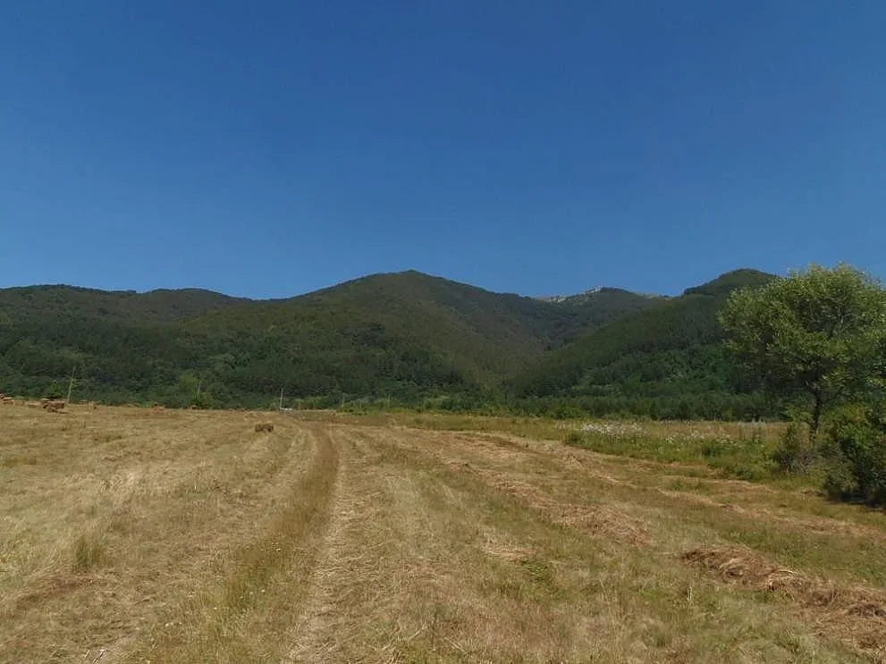 Приказно място в Русе става защитена територия