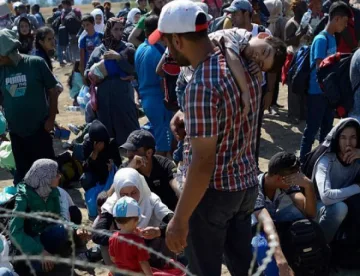 100 часа за културна ориентация на бежанците