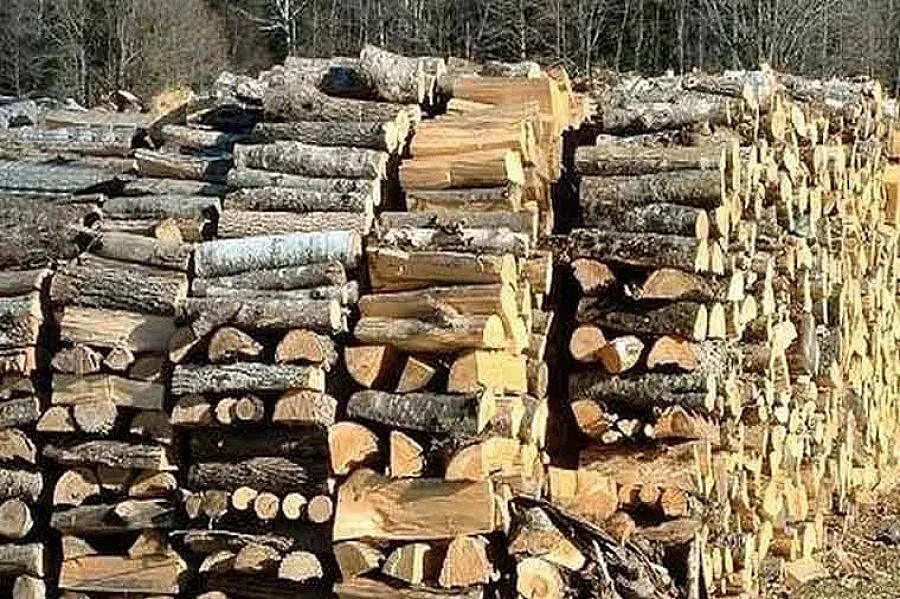 Масово затварят складове за дървесина