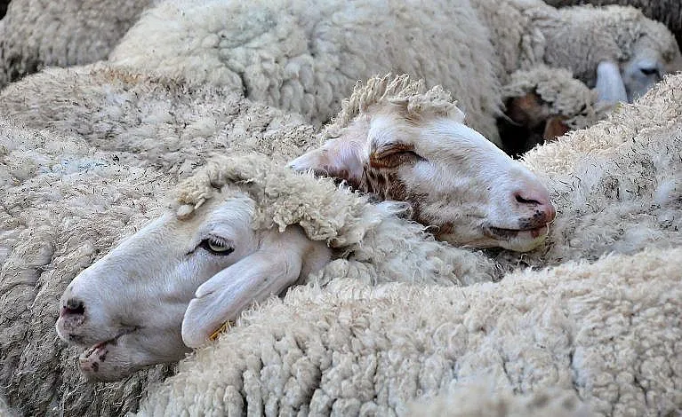 Китай с голям удар по фермерите ни