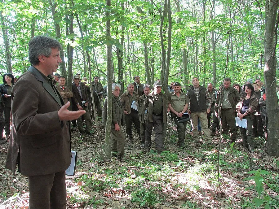 Полезащитните пояси в Добруджа вдигат добивите