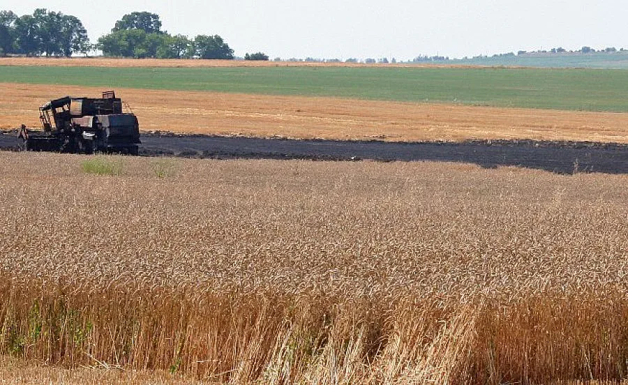 Земеделци наемат албанци на полето