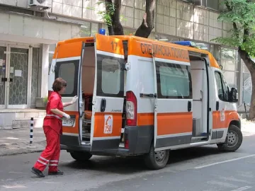 Кон уби дете на пътя