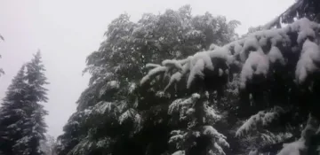 10 см сняг падна в Сърбия