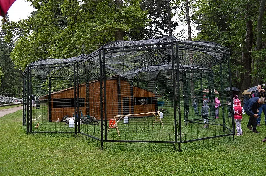 Пауни и фазани радват жители и гости на Сандански