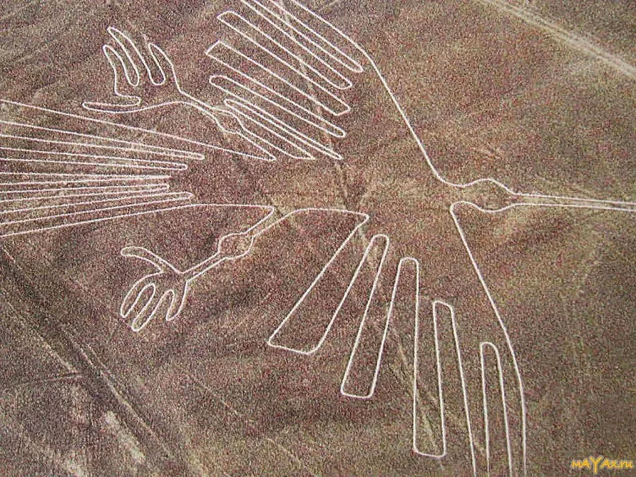 Мистерия на Наска разкрита от Космоса