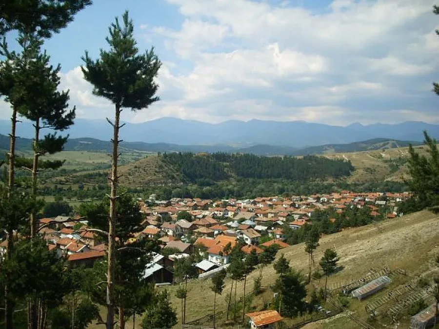 Разследват школски шеф за иманярство