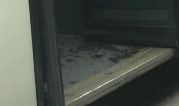 Жена пострада при автобусна катастрофа