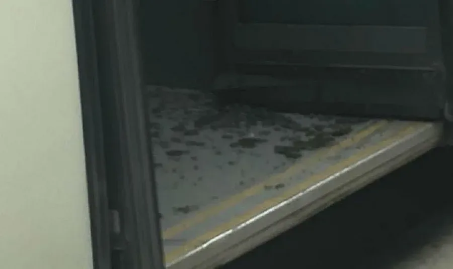 Жена пострада при автобусна катастрофа