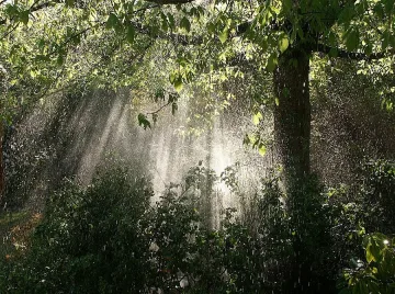 Слънце и дъжд и в понеделник 