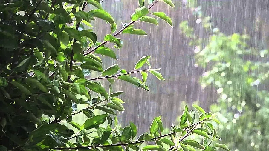 Дъжд и гръмотевици в неделя