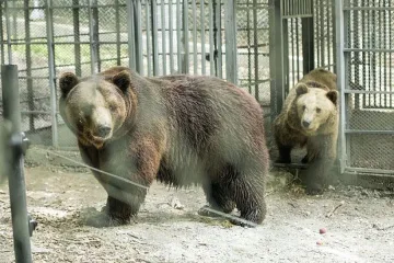 Безплатен вход в мечи парк до края на месеца