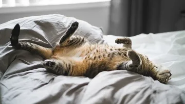 25 сигурни знака, че се нуждаете от почивка