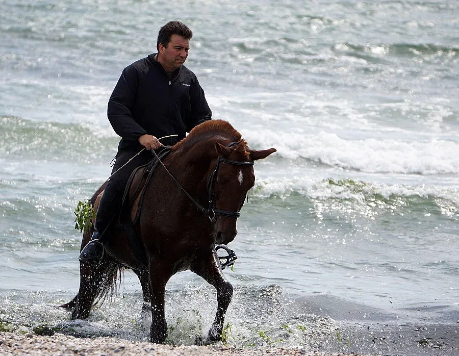 Конни турнири от Русе до Разлог