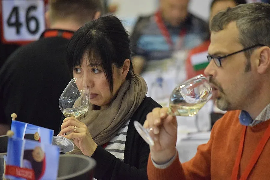 Рекорден брой участници в „Световното“ по вино