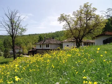 За да откриеш себе си, отиди в Боженци