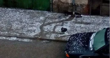 Градушка се изсипа в Южна България (ВИДЕО)