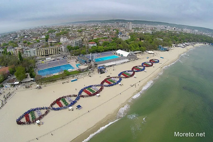 ВИДЕО: Варна счупи рекорд на Гинес