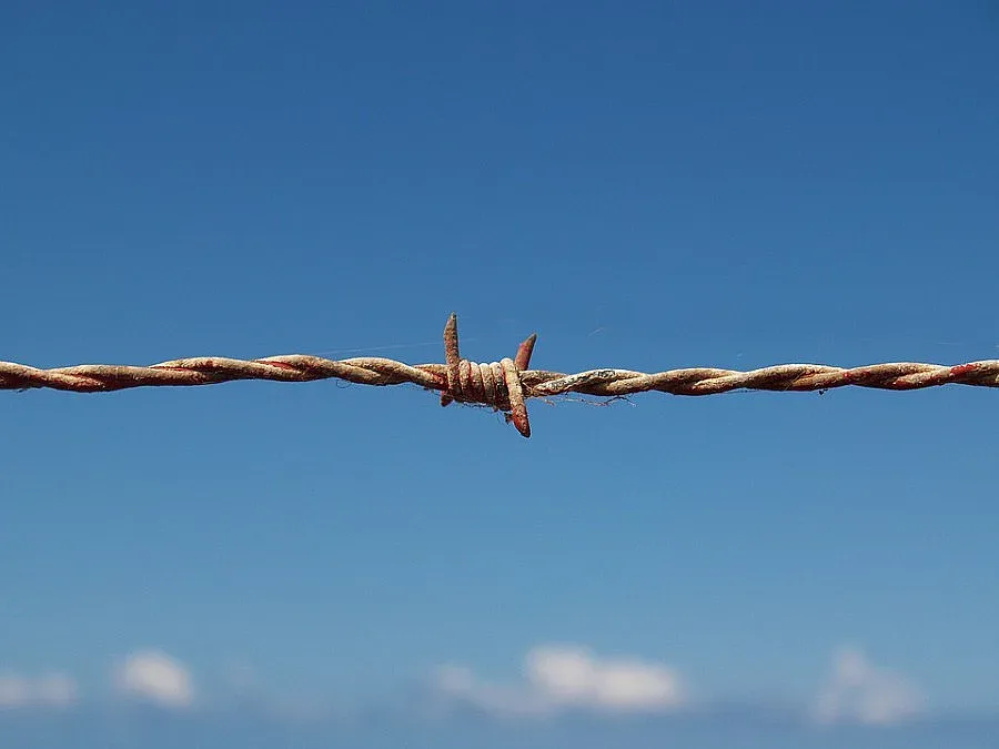 Гражданските арести не са помощ, а самоизява