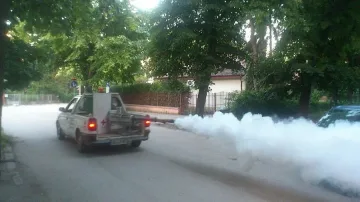 Видин тръгна срещу комарите