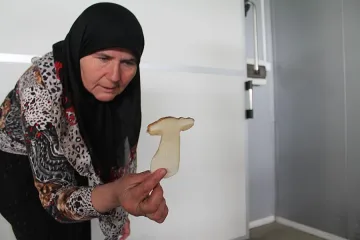 Краище храни с гъби Швейцария и Германия