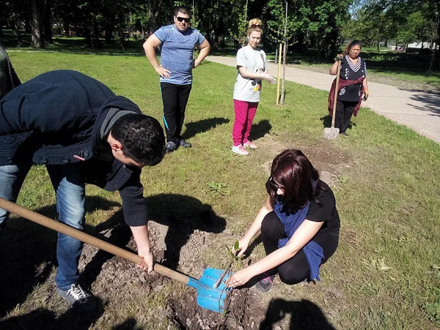 Младоженци с Алея на магнолиите в Силистра
