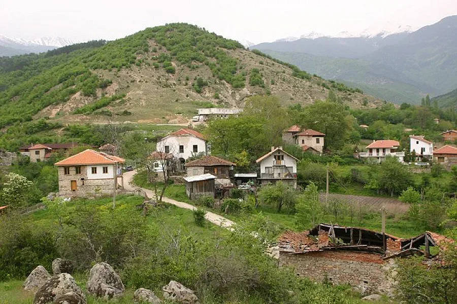 Арестуваха другоселец за кражба в село Влахи