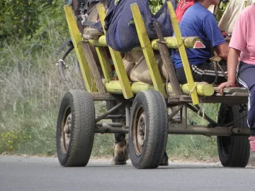 Кметът на Сливен иска да забрани каруците