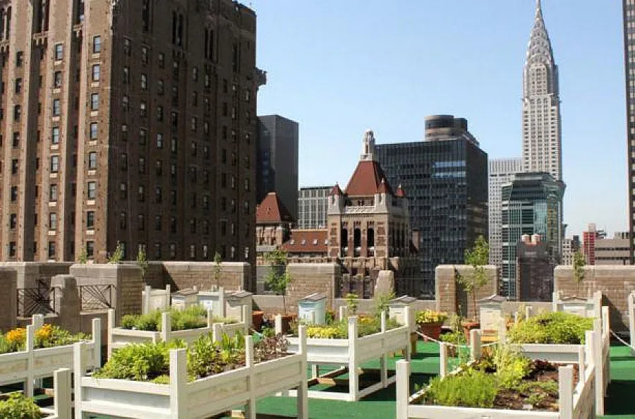 1800 долара за пчеларско приключение