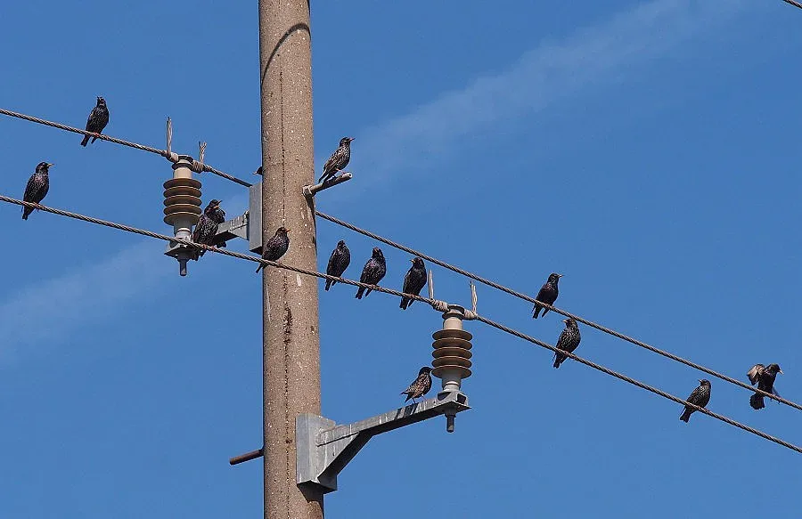 Слънце вместо облаци 