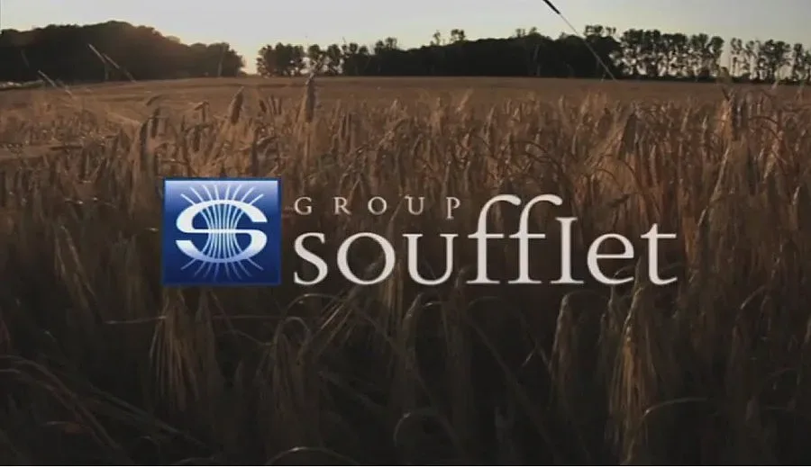 Французи изтеглят 40 млн. от Плевен 