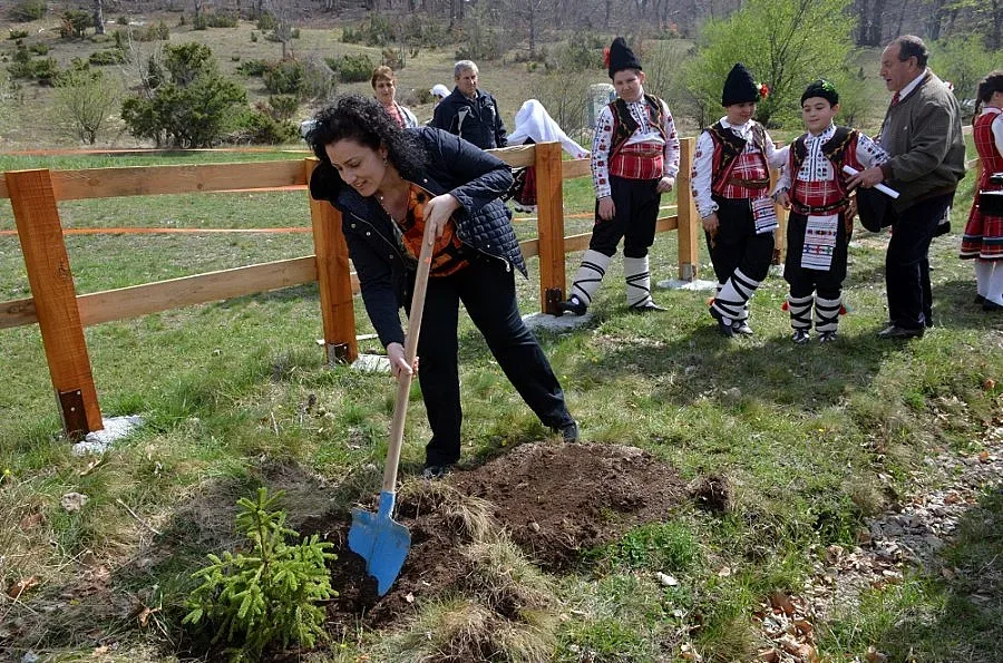 Отчитаме рекордно залесяване