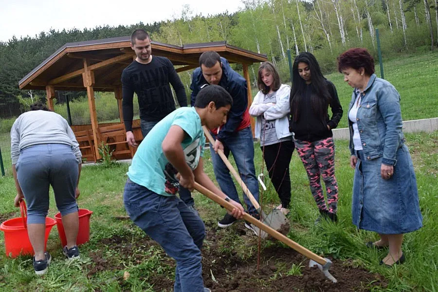 Младежи садиха дървета в социален дом