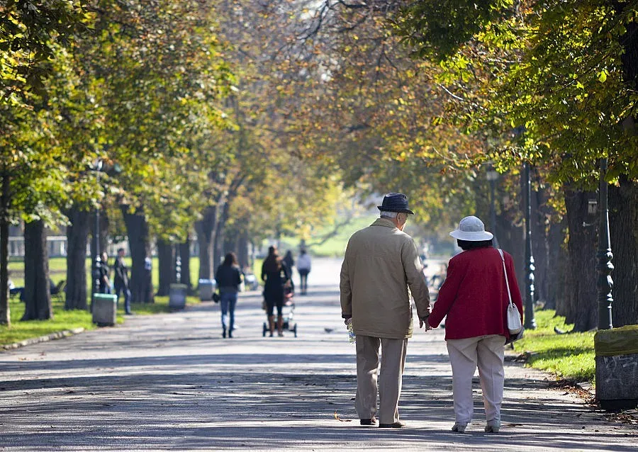 Махат тавана на новите пенсии