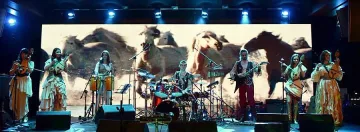 Red Hot Chili peppers и Тина Търнър на 4 гъдулки 