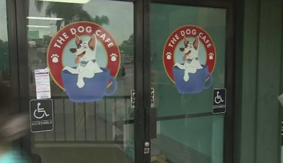 Откриха кафене с кучета в Лос Анджелис