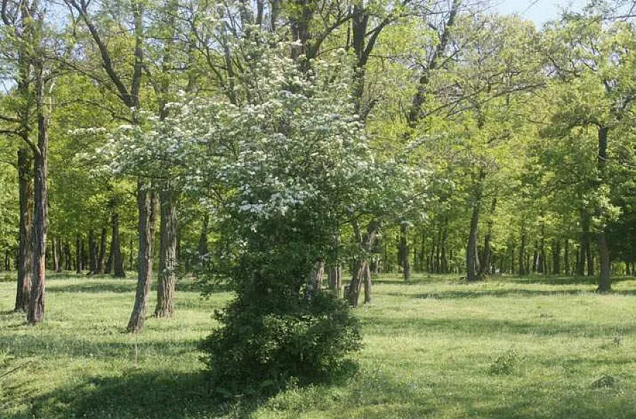 Първи по рода си у нас демонстрационен учебен обект