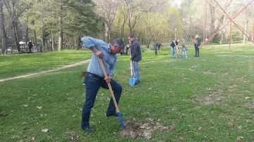 Войводи засадиха фиданки