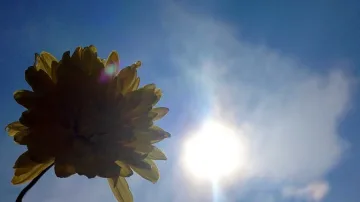 Слънце и високи температури утре
