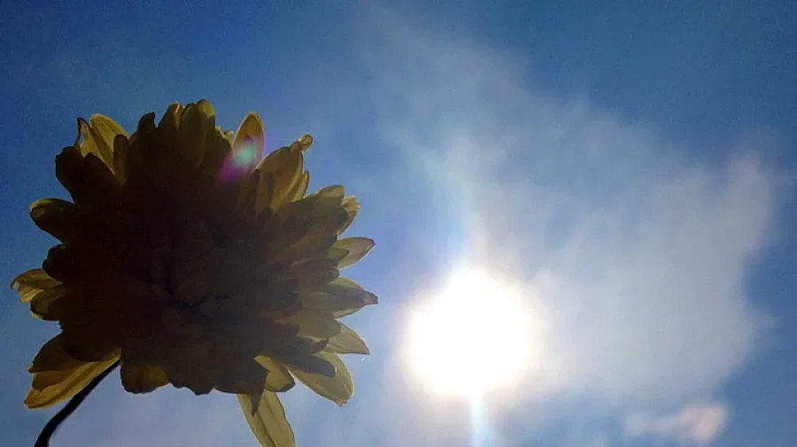 Слънце и високи температури утре