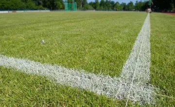 "Евроколеж" с жалба заради бита порнозвезда