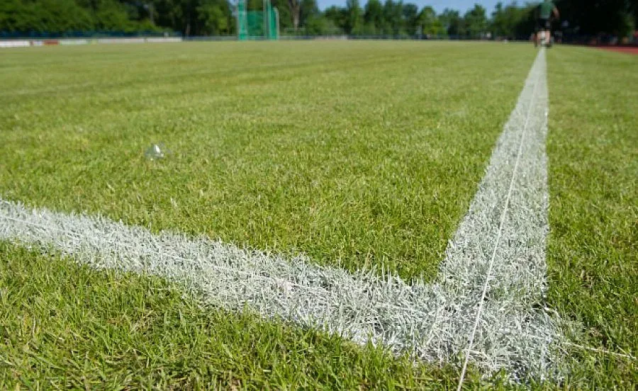 "Евроколеж" с жалба заради бита порнозвезда