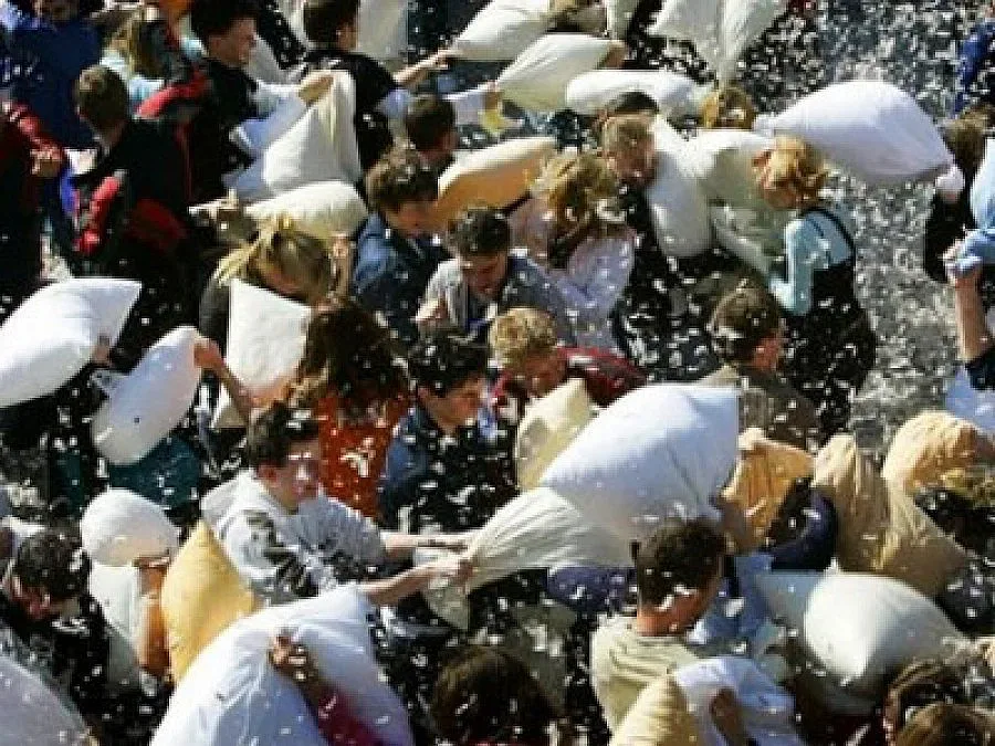 Международен ден за бой с възглавници